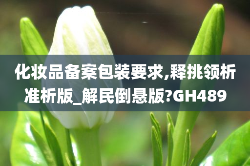 化妆品备案包装要求,释挑领析准析版_解民倒悬版?GH489