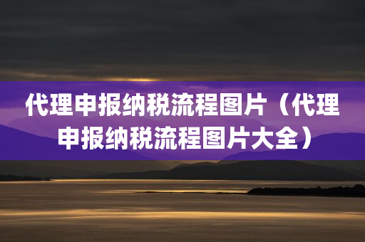 代理申报纳税流程图片（代理申报纳税流程图片大全）