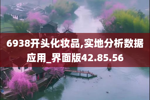 6938开头化妆品,实地分析数据应用_界面版42.85.56