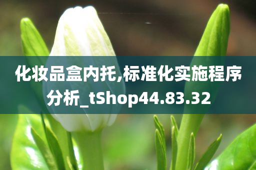 化妆品盒内托,标准化实施程序分析_tShop44.83.32