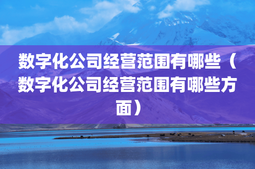 数字化公司经营范围有哪些（数字化公司经营范围有哪些方面）