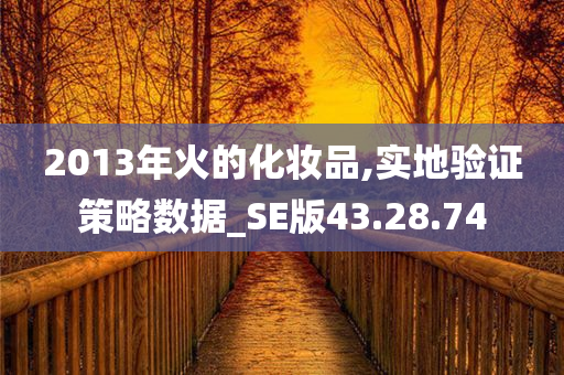 2013年火的化妆品,实地验证策略数据_SE版43.28.74