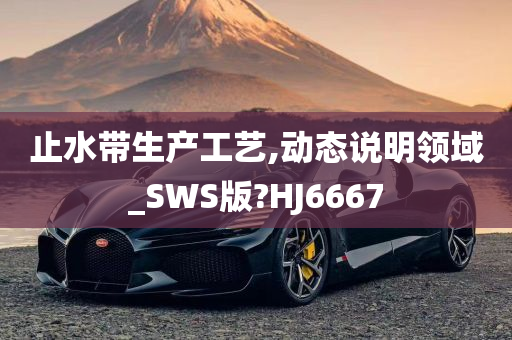 止水带生产工艺,动态说明领域_SWS版?HJ6667