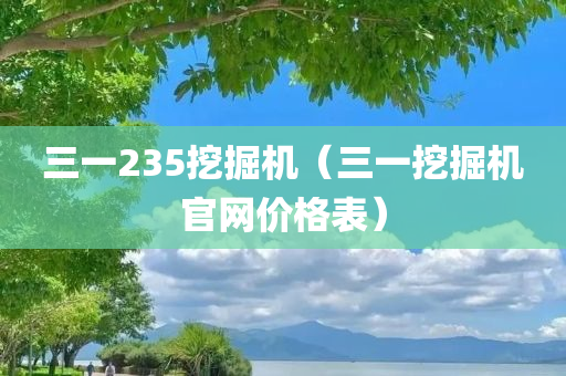 三一235挖掘机（三一挖掘机官网价格表）