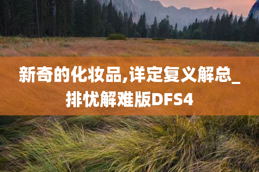 新奇的化妆品,详定复义解总_排忧解难版DFS4