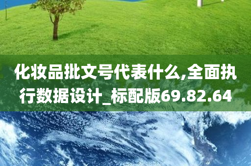 化妆品批文号代表什么,全面执行数据设计_标配版69.82.64