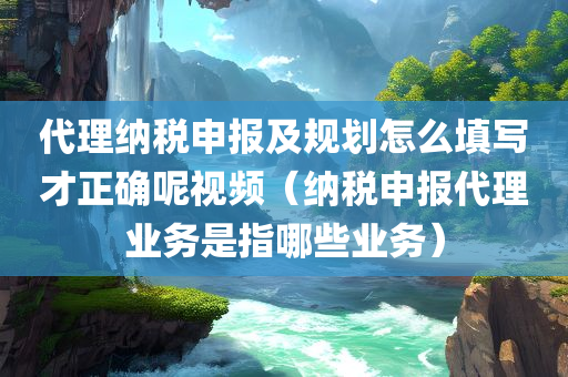 代理纳税申报及规划怎么填写才正确呢视频（纳税申报代理业务是指哪些业务）