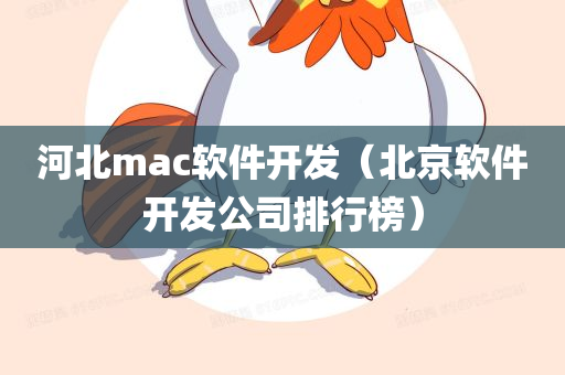 河北mac软件开发（北京软件开发公司排行榜）