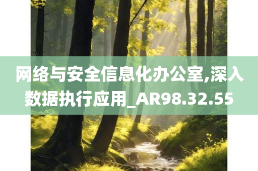 网络与安全信息化办公室,深入数据执行应用_AR98.32.55