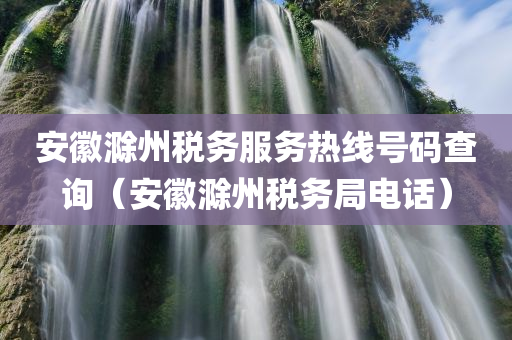 安徽滁州税务服务热线号码查询（安徽滁州税务局电话）