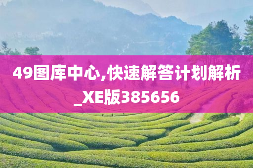 49图库中心,快速解答计划解析_XE版385656