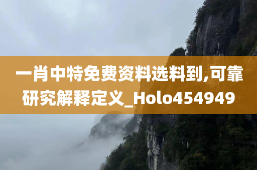 一肖中特免费资料选料到,可靠研究解释定义_Holo454949