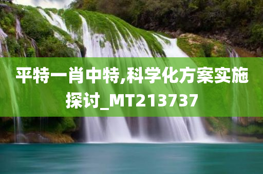 平特一肖中特,科学化方案实施探讨_MT213737