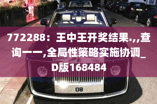 772288：王中王开奖结果.,,查询一一,全局性策略实施协调_D版168484