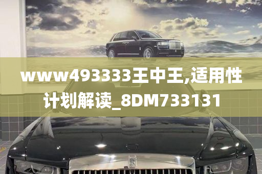 www493333王中王,适用性计划解读_8DM733131