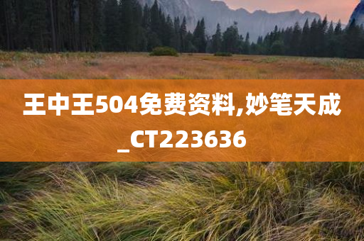 王中王504免费资料,妙笔天成_CT223636