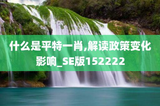 什么是平特一肖,解读政策变化影响_SE版152222