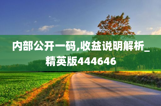 内部公开一码,收益说明解析_精英版444646