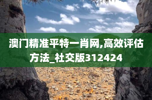 澳门精准平特一肖网,高效评估方法_社交版312424