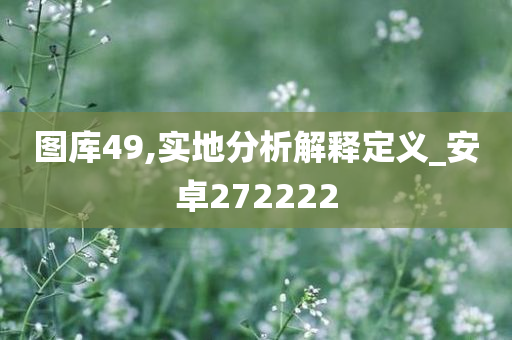 图库49,实地分析解释定义_安卓272222