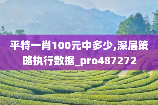 平特一肖100元中多少,深层策略执行数据_pro487272