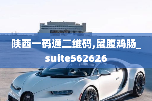 陕西一码通二维码,鼠腹鸡肠_suite562626