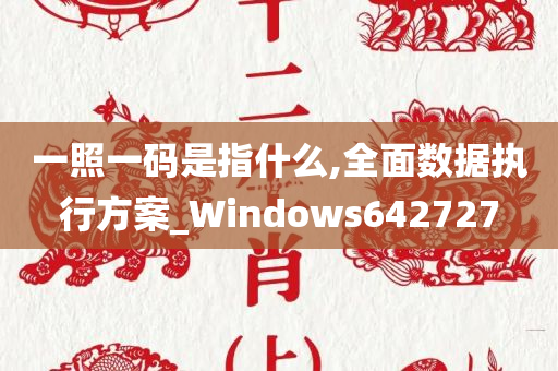 一照一码是指什么,全面数据执行方案_Windows642727