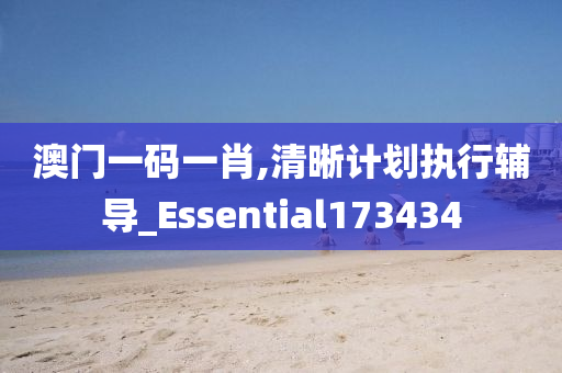 澳门一码一肖,清晰计划执行辅导_Essential173434