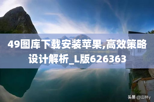 49图库下载安装苹果,高效策略设计解析_L版626363