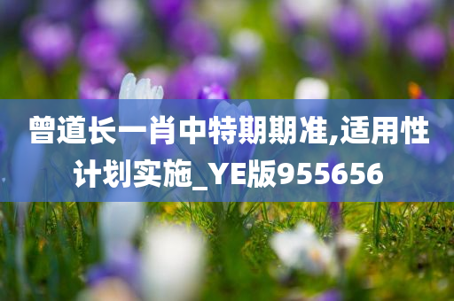 曾道长一肖中特期期准,适用性计划实施_YE版955656