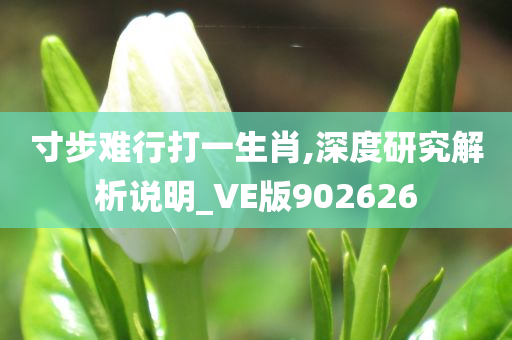 寸步难行打一生肖,深度研究解析说明_VE版902626