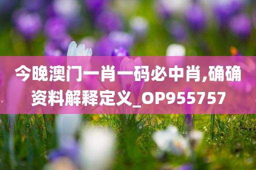 今晚澳门一肖一码必中肖,确确资料解释定义_OP955757