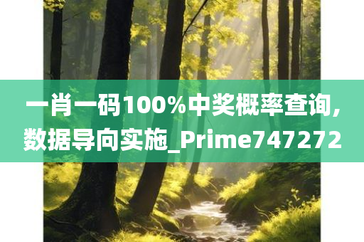 一肖一码100%中奖概率查询,数据导向实施_Prime747272