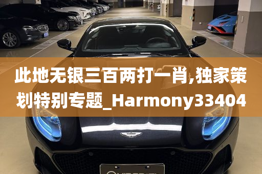 此地无银三百两打一肖,独家策划特别专题_Harmony334040