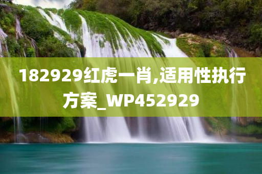 182929红虎一肖,适用性执行方案_WP452929