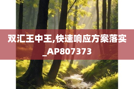 双汇王中王,快速响应方案落实_AP807373