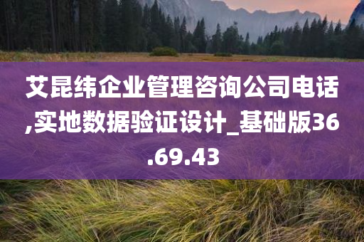 艾昆纬企业管理咨询公司电话,实地数据验证设计_基础版36.69.43