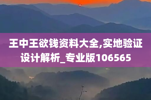 王中王欲钱资料大全,实地验证设计解析_专业版106565