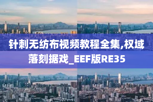 针刺无纺布视频教程全集,权域落刻据戏_EEF版RE35