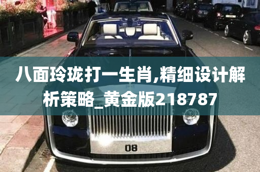 八面玲珑打一生肖,精细设计解析策略_黄金版218787