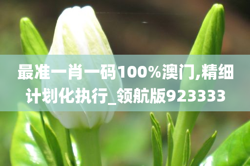 最准一肖一码100%澳门,精细计划化执行_领航版923333