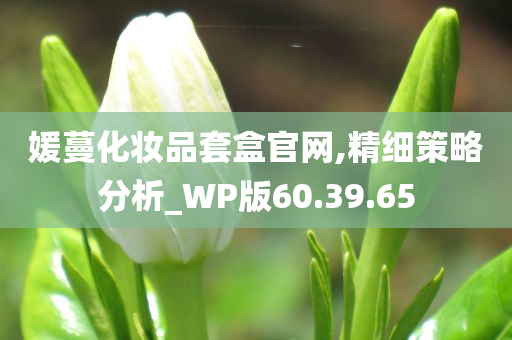 媛蔓化妆品套盒官网,精细策略分析_WP版60.39.65