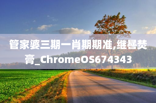 管家婆三期一肖期期准,继晷焚膏_ChromeOS674343