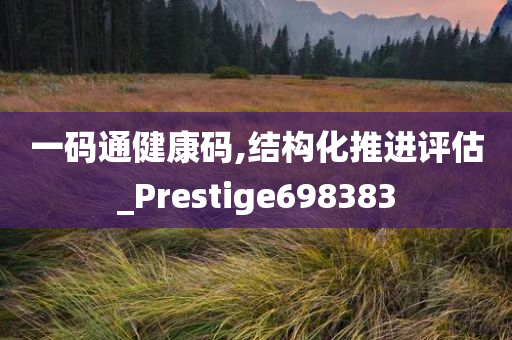 一码通健康码,结构化推进评估_Prestige698383