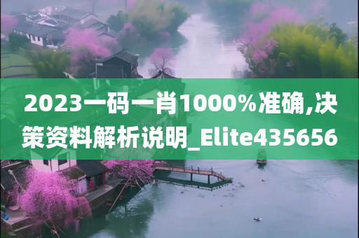 2023一码一肖1000%准确,决策资料解析说明_Elite435656