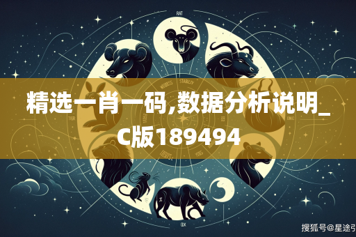 精选一肖一码,数据分析说明_C版189494