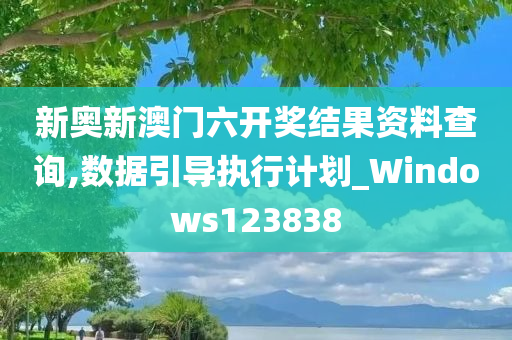 新奥新澳门六开奖结果资料查询,数据引导执行计划_Windows123838