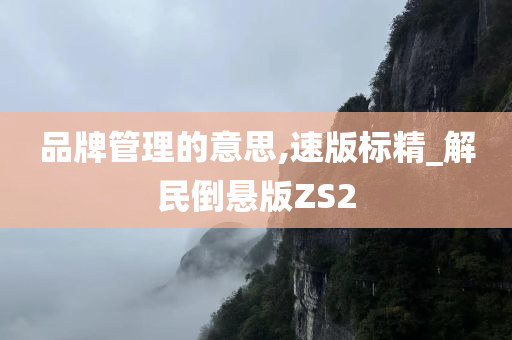 品牌管理的意思,速版标精_解民倒悬版ZS2