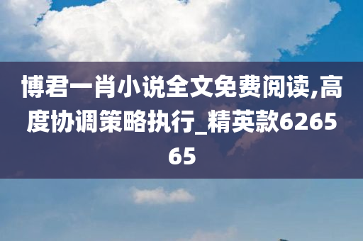 博君一肖小说全文免费阅读,高度协调策略执行_精英款626565