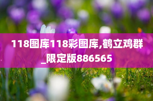 118图库118彩图库,鹤立鸡群_限定版886565